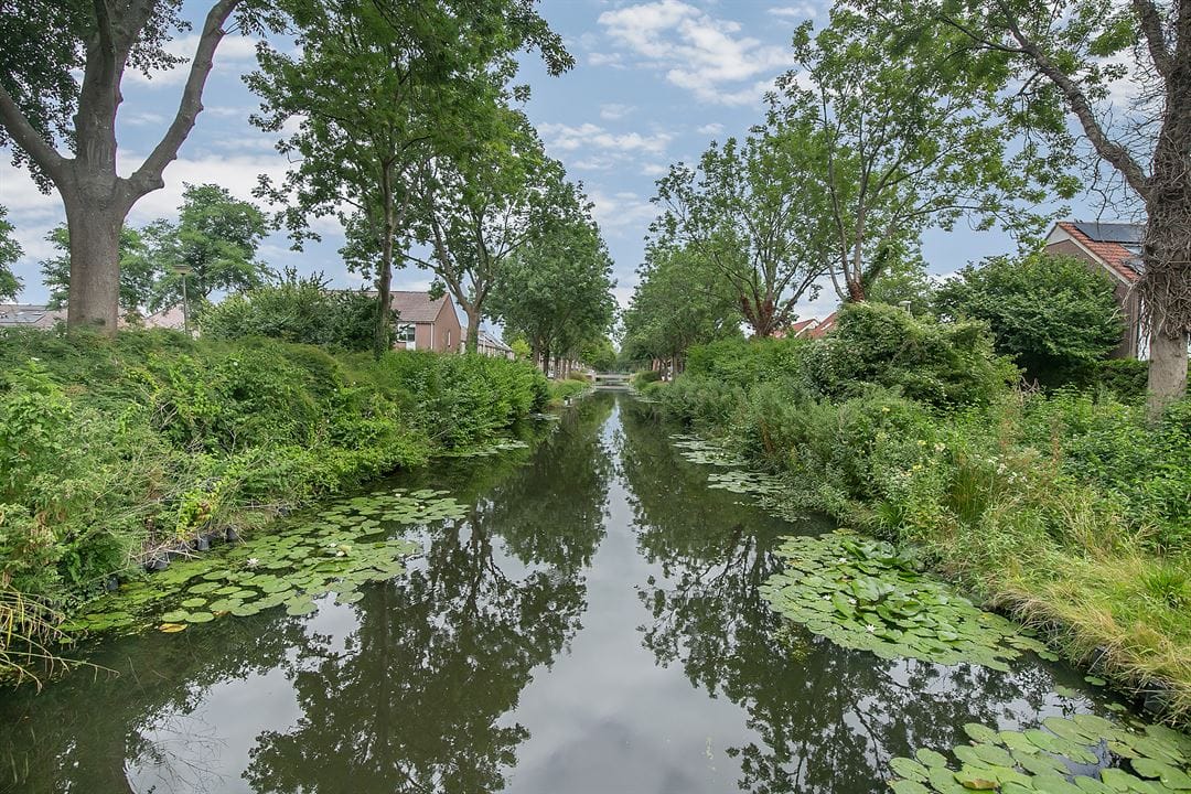 Charming ground floor apartment with south-facing garden in Haarlem's Amsterdamsebuurt — 46
