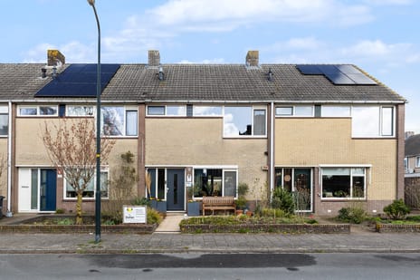 Schopenhauerstraat thumbnail