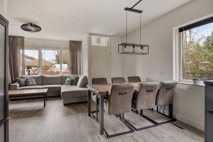 Foto 5 van Huismus 6