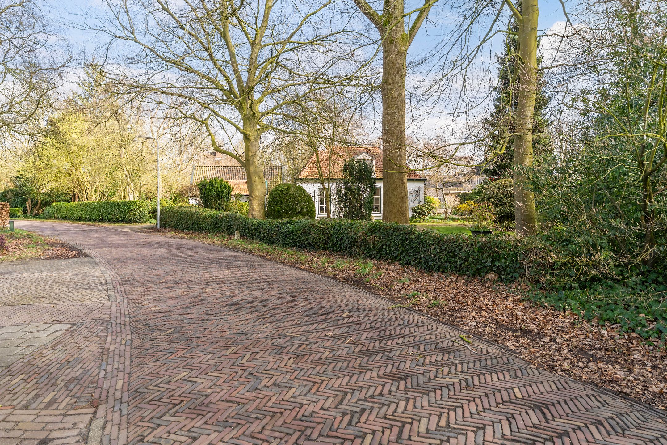 Foto 6 van Tussendijken 4