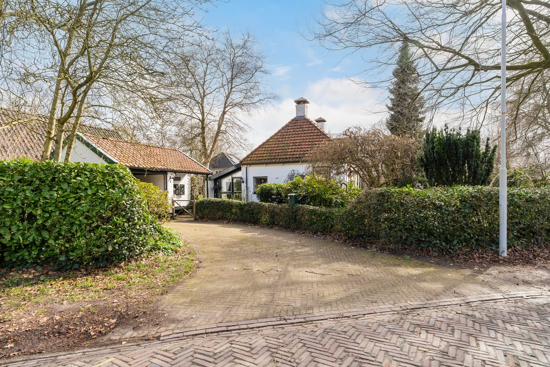 Foto 7 van Tussendijken 4