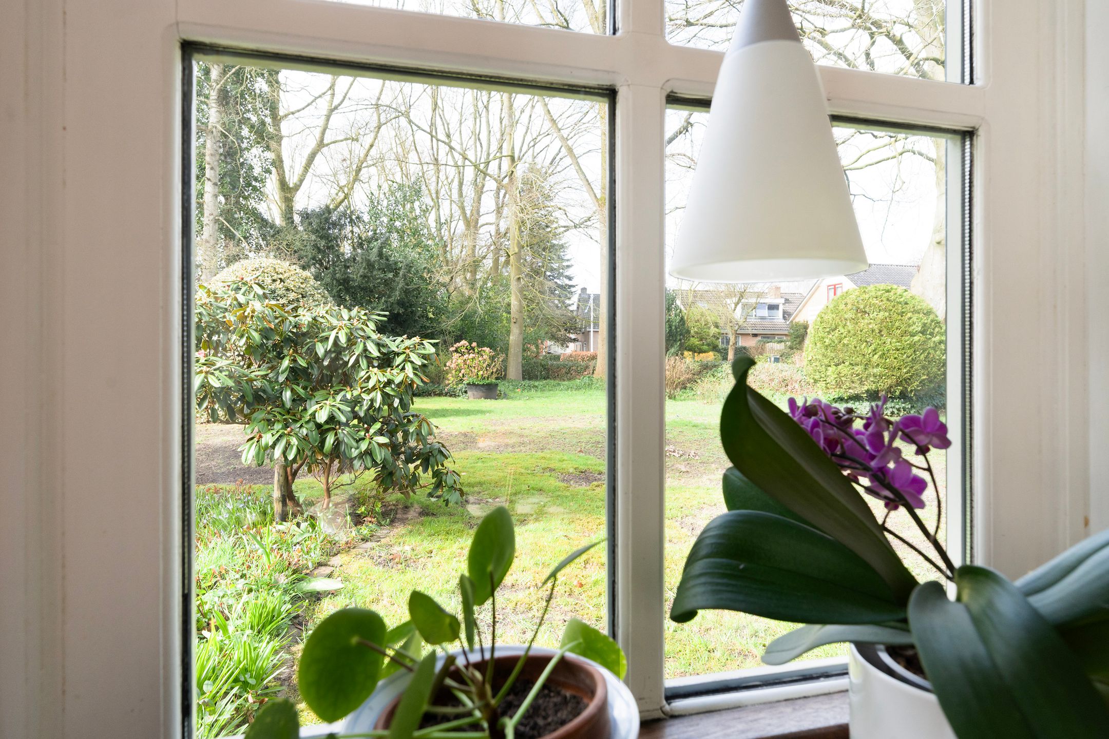 Foto 33 van Tussendijken 4