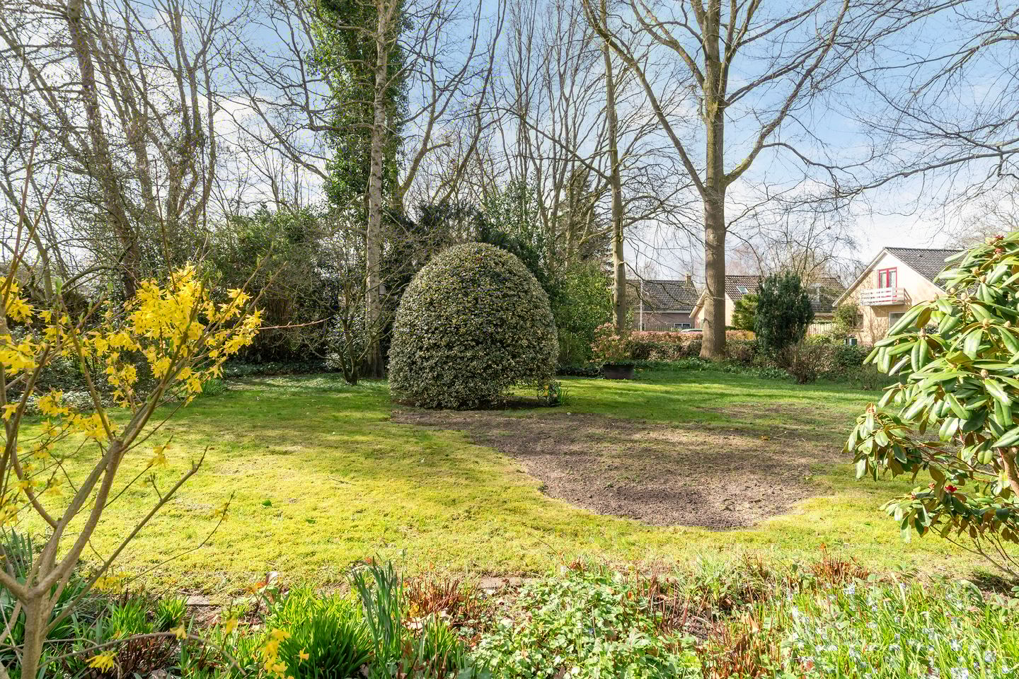 Foto 50 van Tussendijken 4