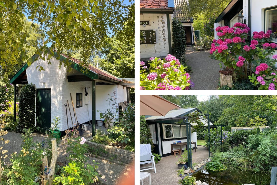 Foto 73 van Tussendijken 4