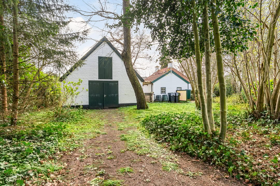 Foto 56 van Tussendijken 4