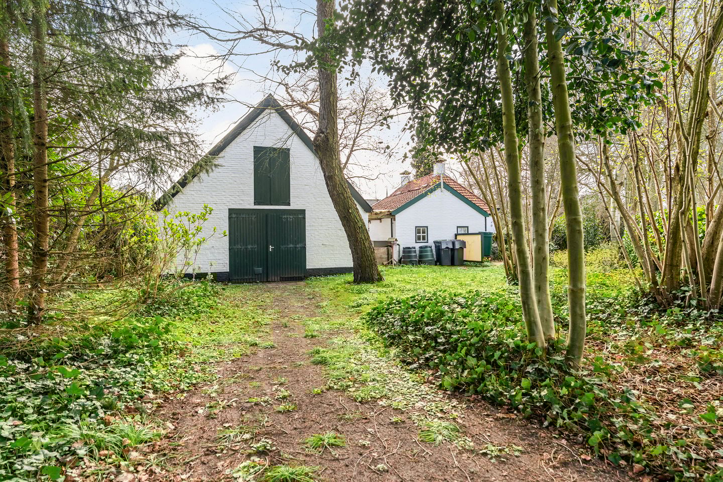 Foto 5 van Tussendijken 4