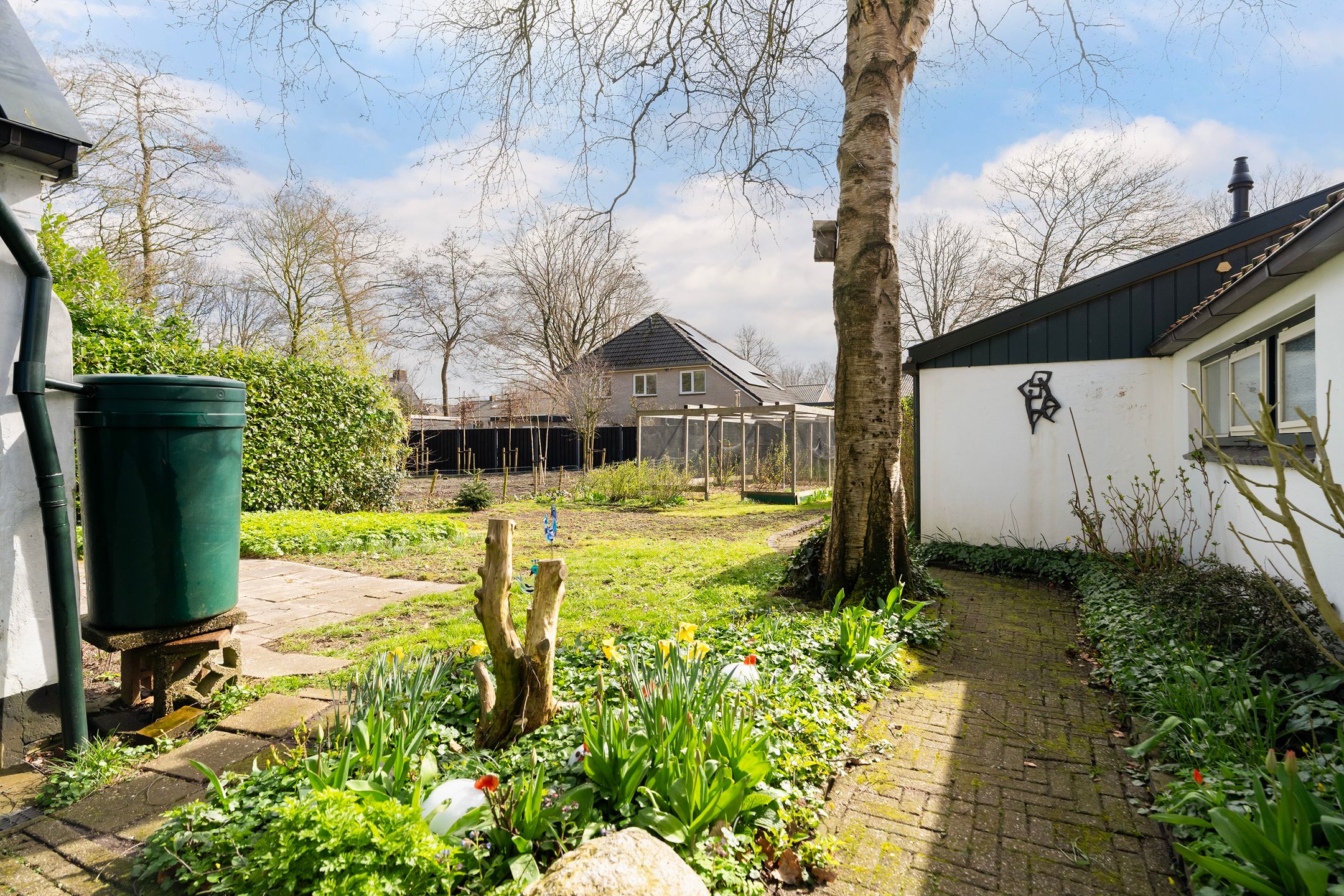 Foto 69 van Tussendijken 4