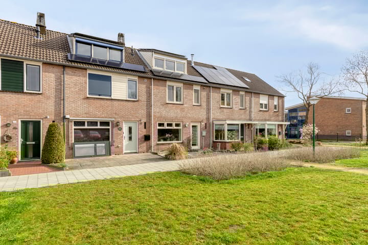 Photo 2 of Zanglijster 119