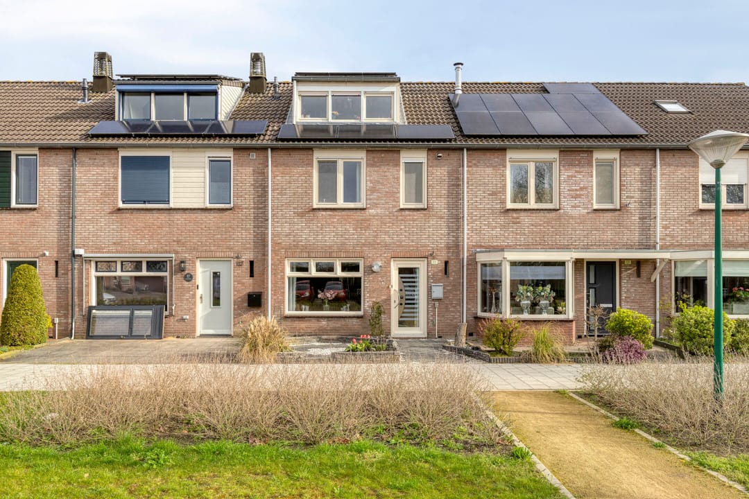 Foto 1 van Zanglijster 119