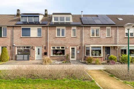 undefined main image