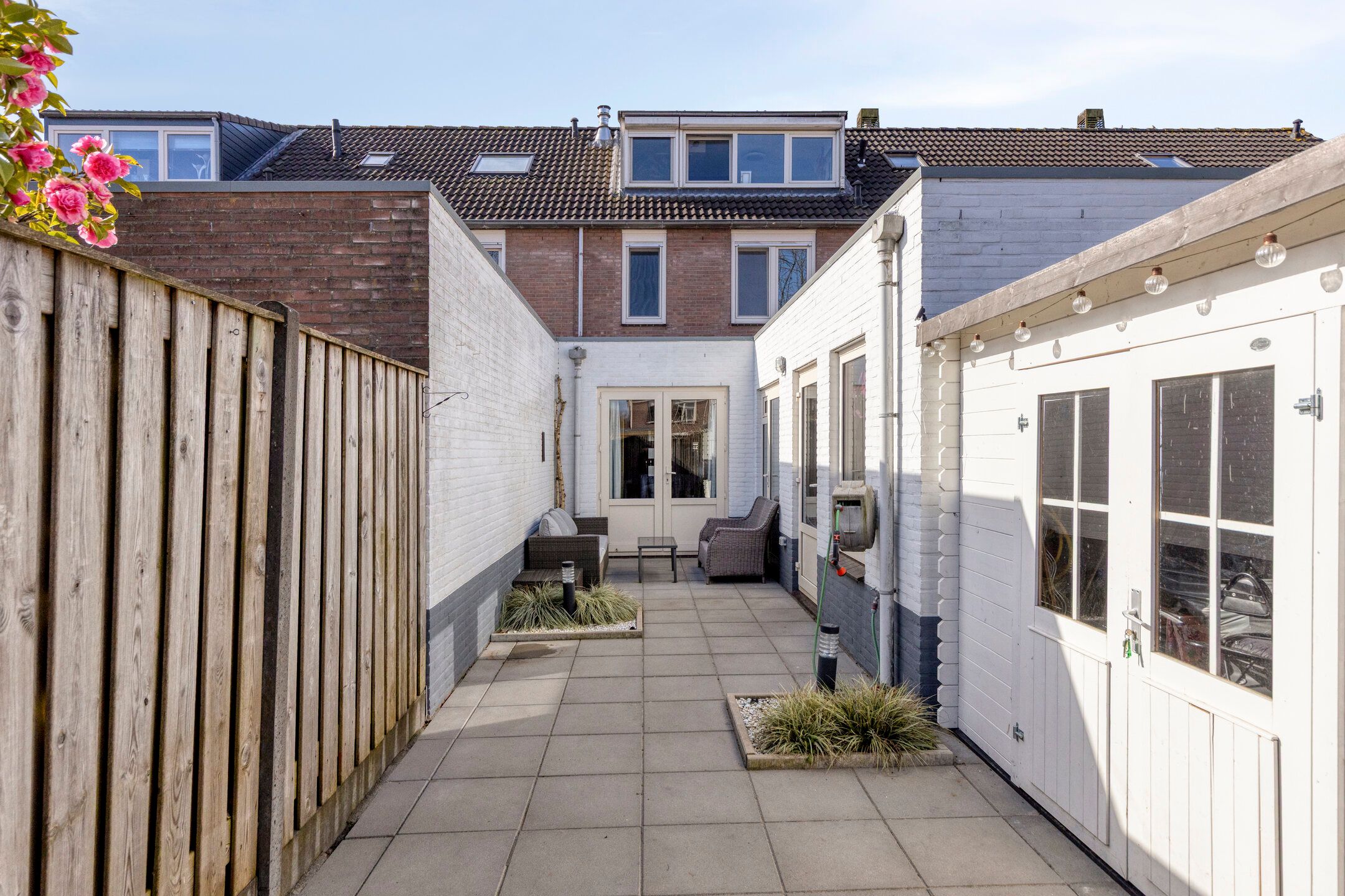 Foto 21 van Zanglijster 119