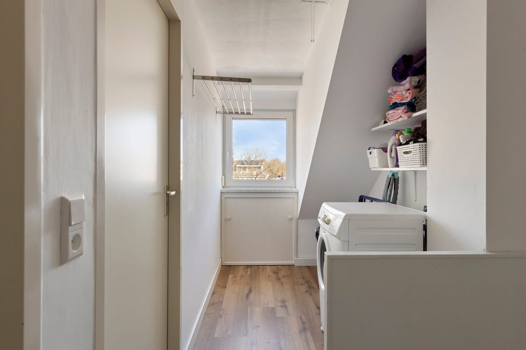 Foto 37 van Zanglijster 119