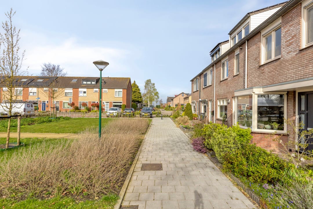 Foto 43 van Zanglijster 119