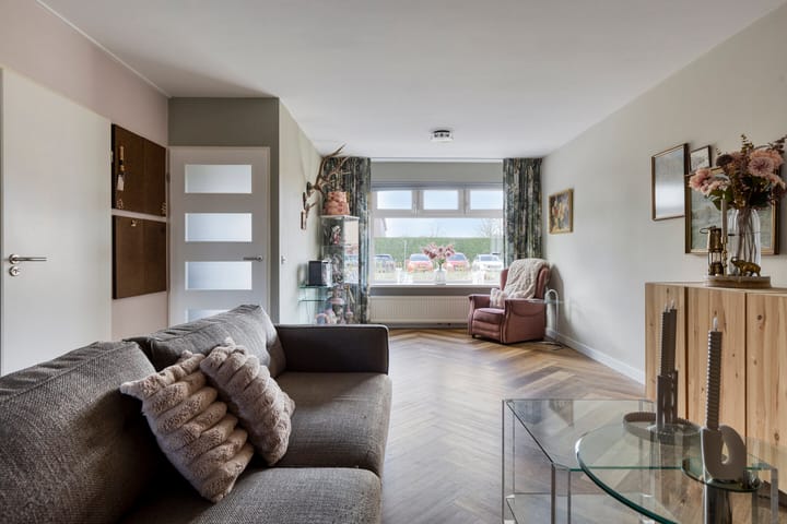 Photo 4 of Zanglijster 119