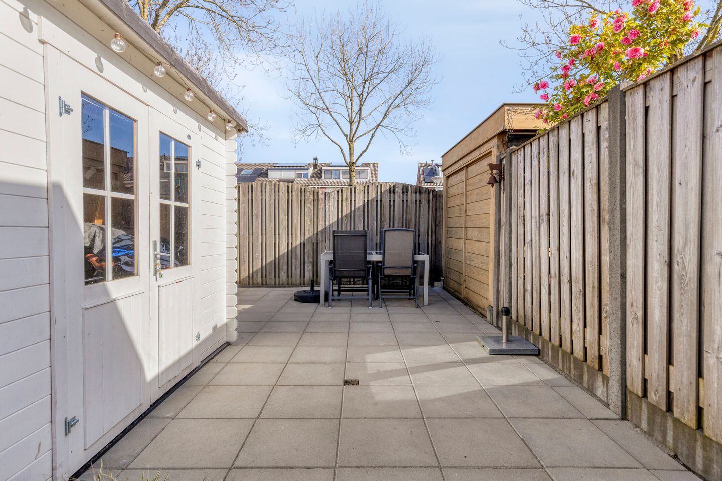 Foto 20 van Zanglijster 119