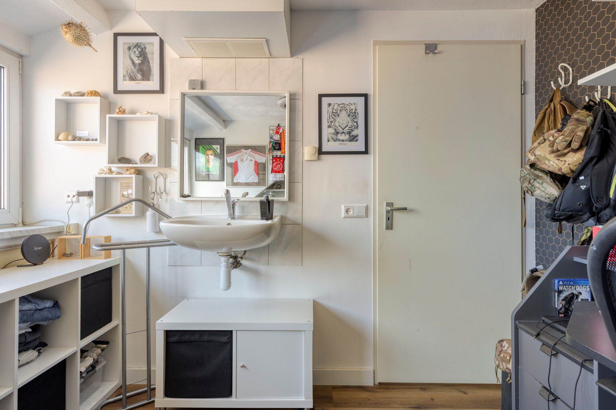 Foto 42 van Zanglijster 119