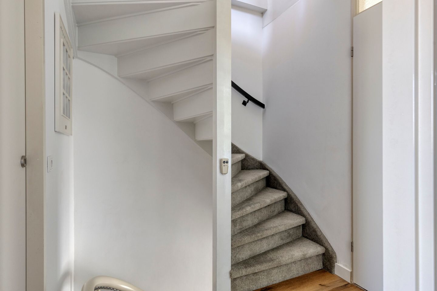 Foto 25 van Zanglijster 119