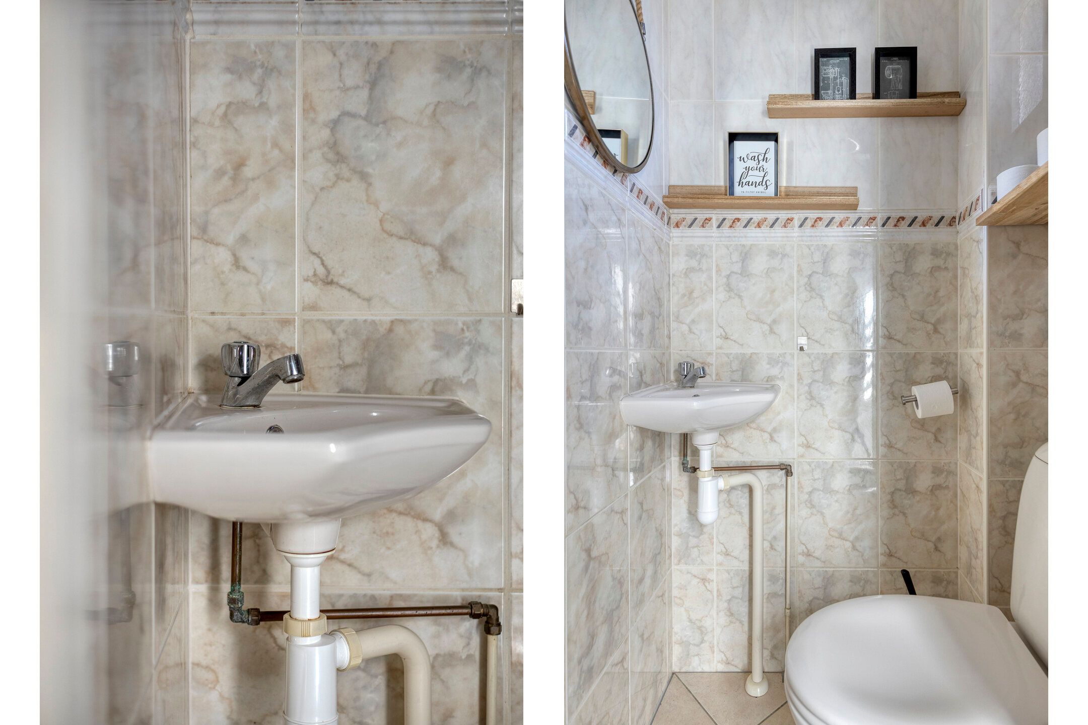 Foto 24 van Zanglijster 119