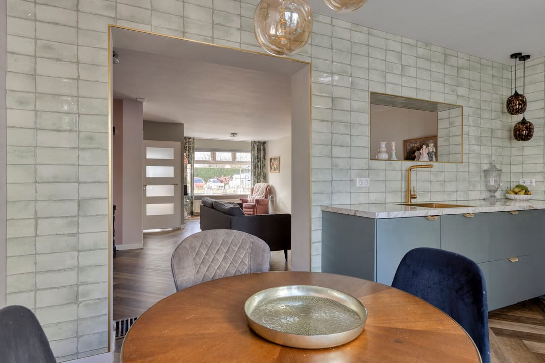 Foto 11 van Zanglijster 119