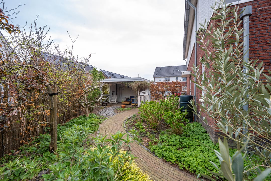 Photo 86 of het Hoge Rot 32