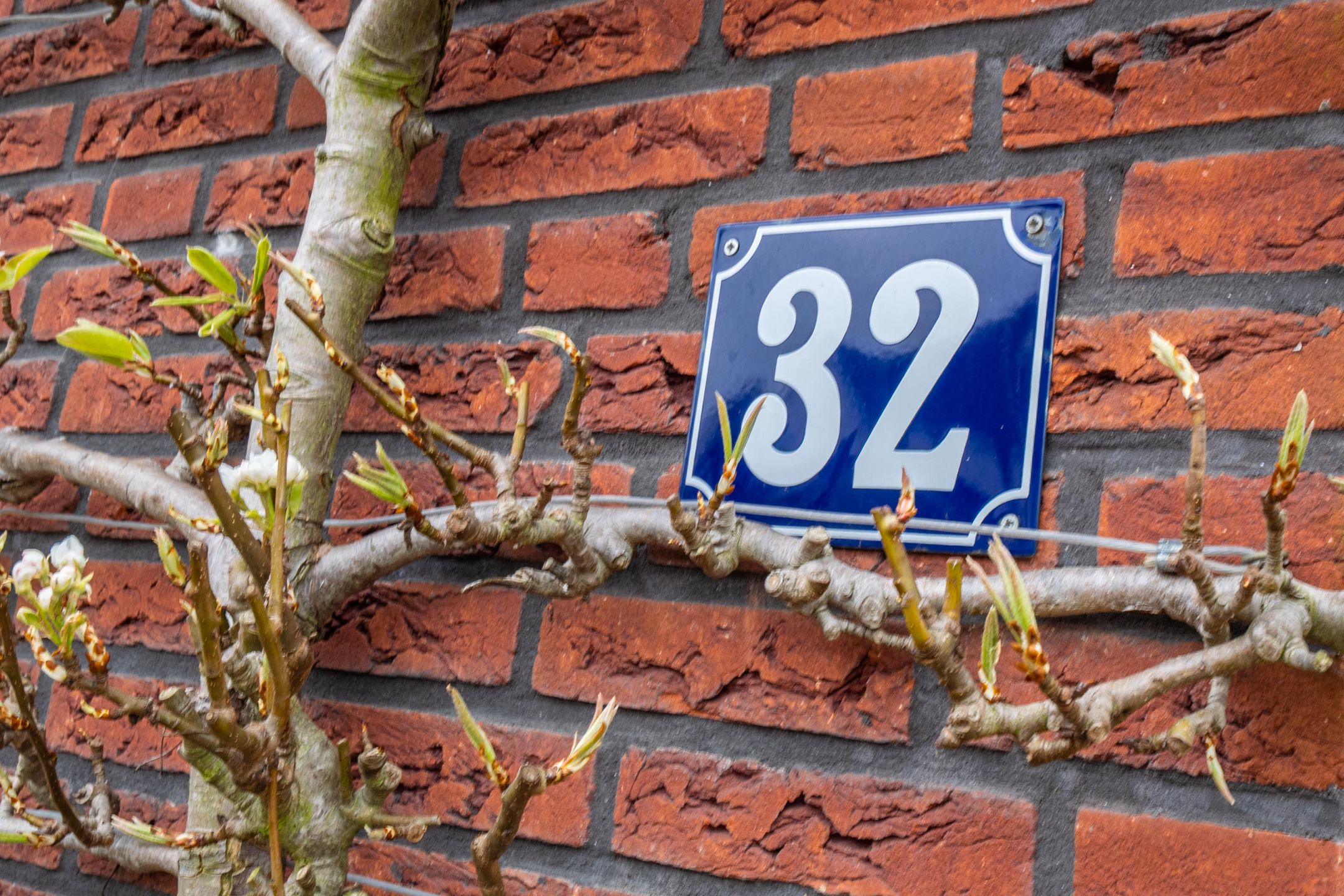 Photo 96 of het Hoge Rot 32
