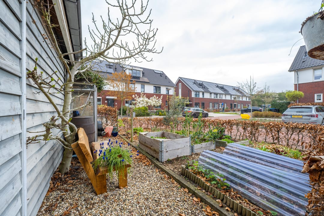 Photo 97 of het Hoge Rot 32