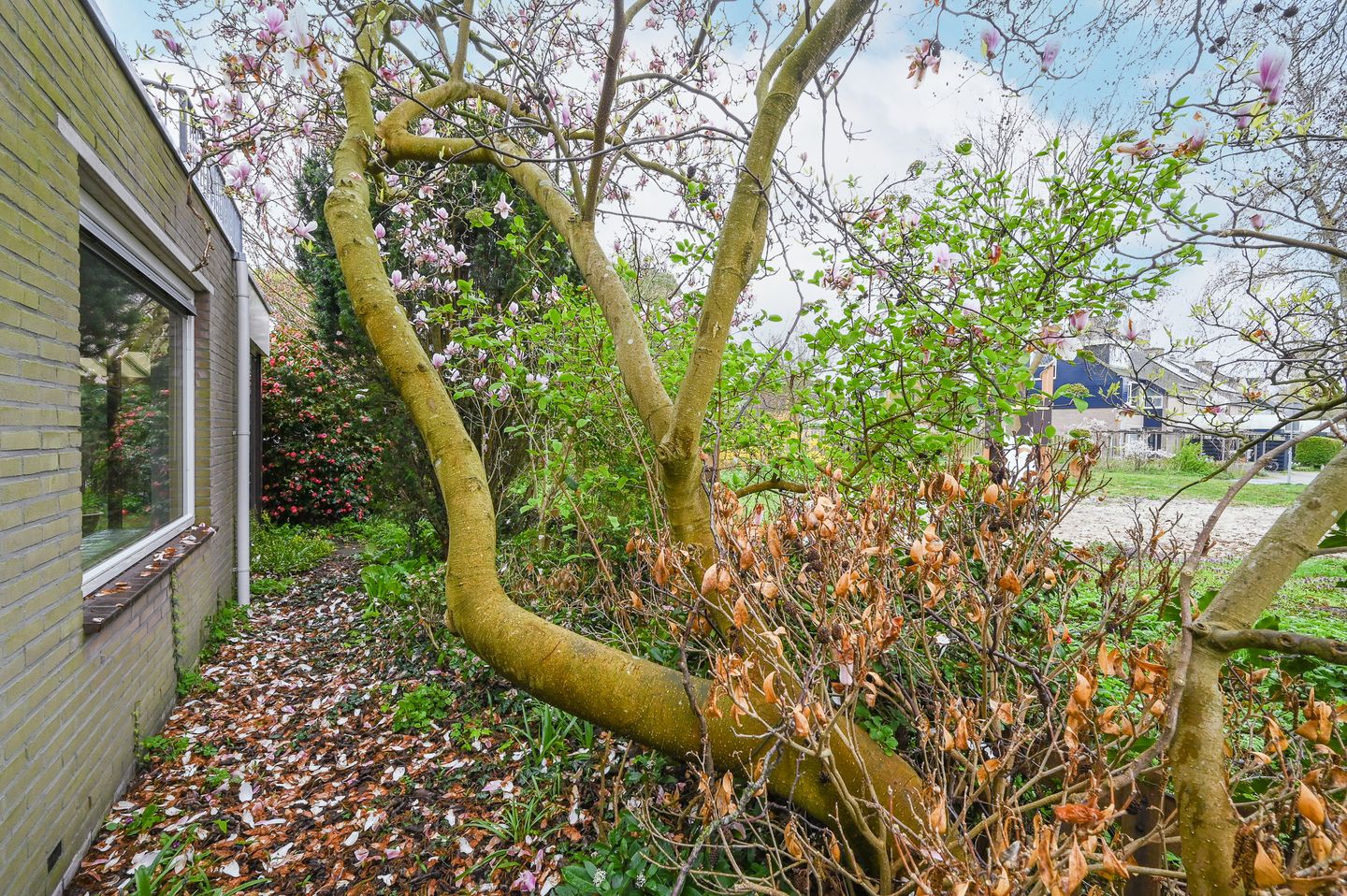 Foto 25 van Brederode 94