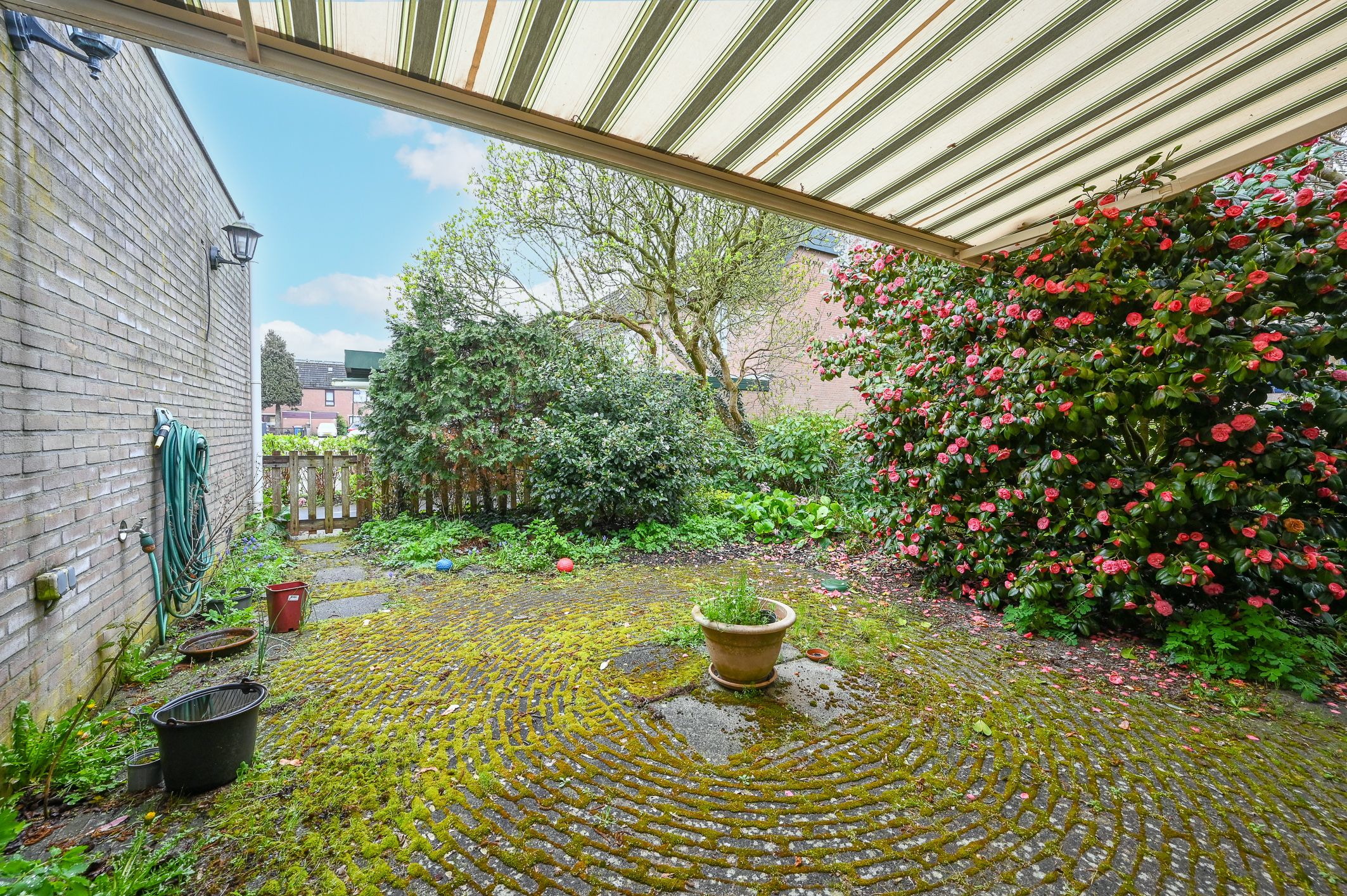 Foto 21 van Brederode 94