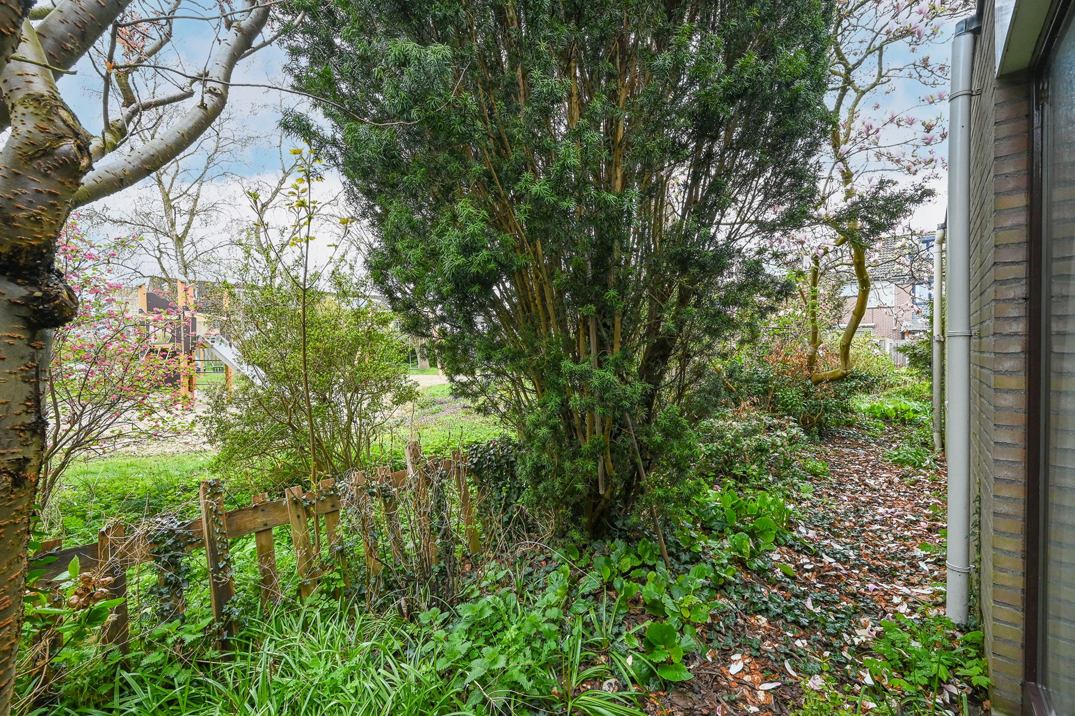 Foto 24 van Brederode 94