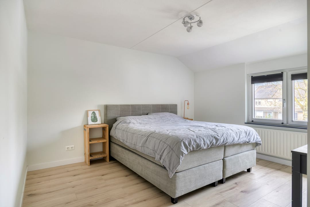 Foto 22 van Roerdomp 20