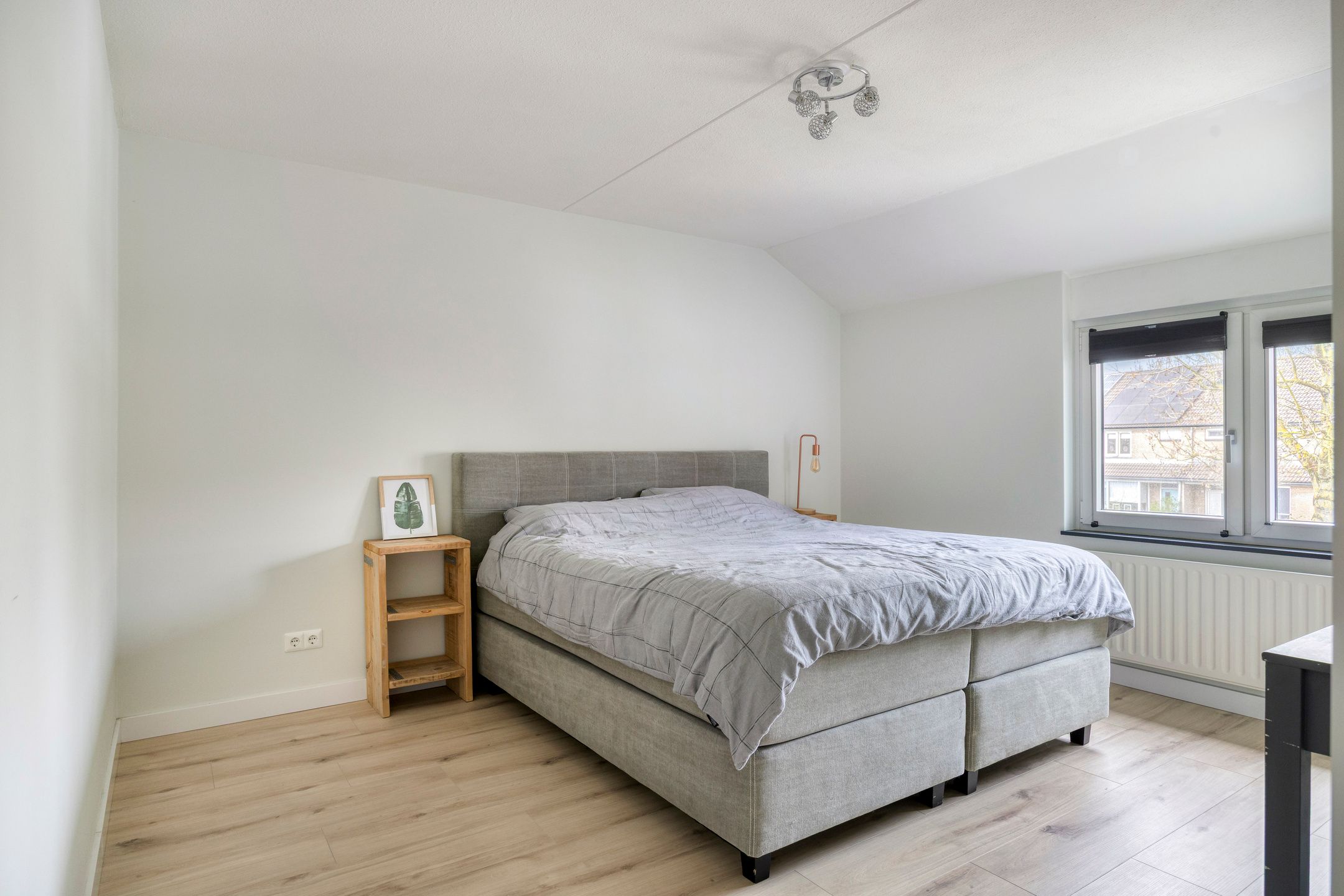 Foto 3 van Roerdomp 20