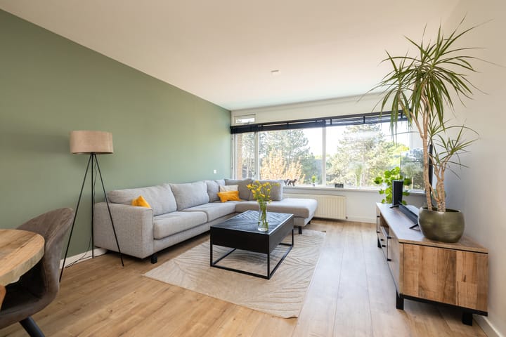 Photo 4 of Opaalstraat 295