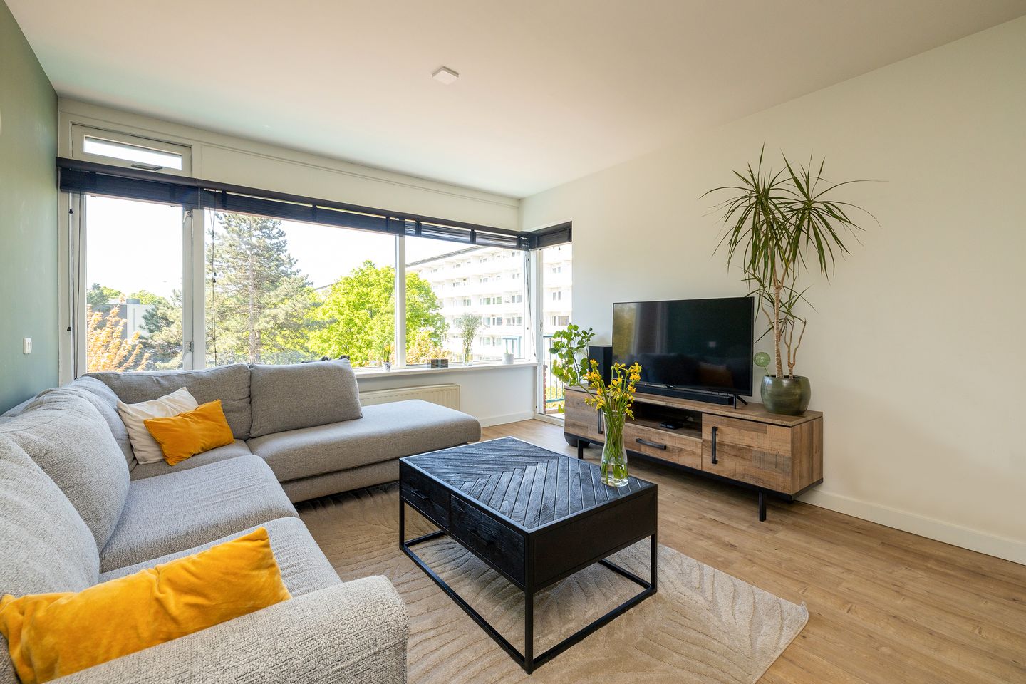 Photo 5 of Opaalstraat 295