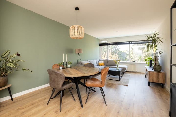 Photo 3 of Opaalstraat 295