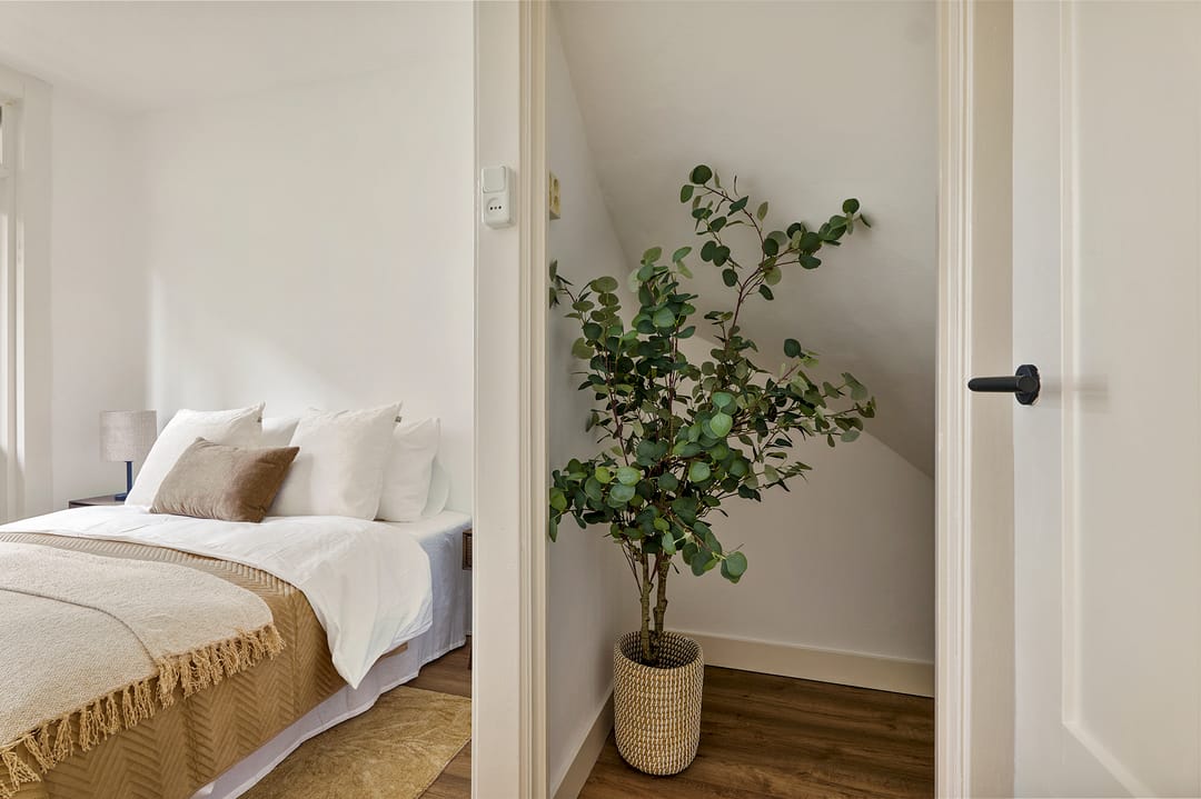 Foto 17 van Pieter van der Doesstraat 52-1