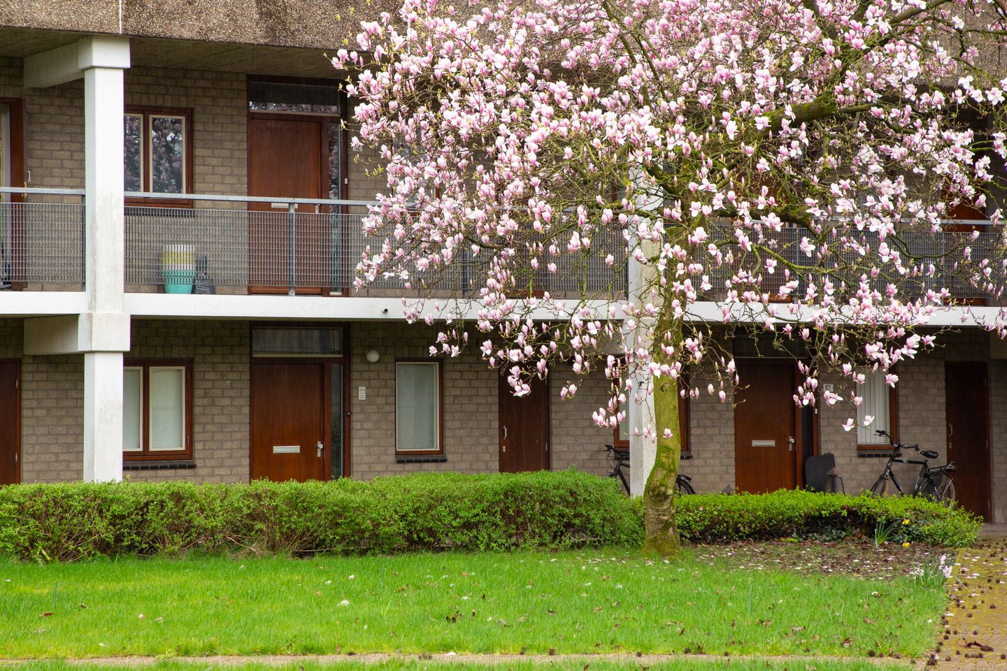 Ground Floor Apartment with Private Terrace in Lichtenvoorde — 35