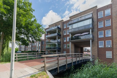 Merantihout thumbnail