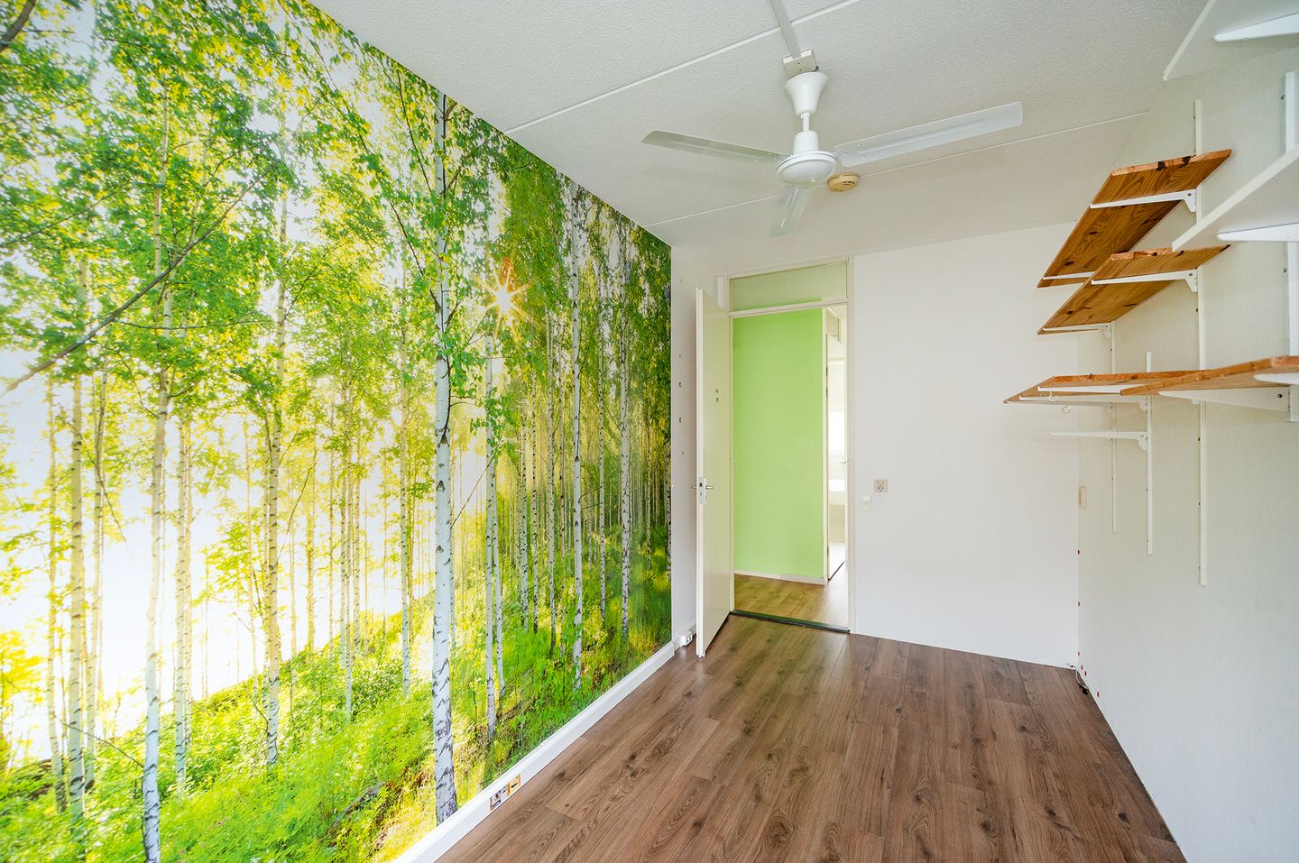 Foto 19 van Professor Cumulusstraat 4