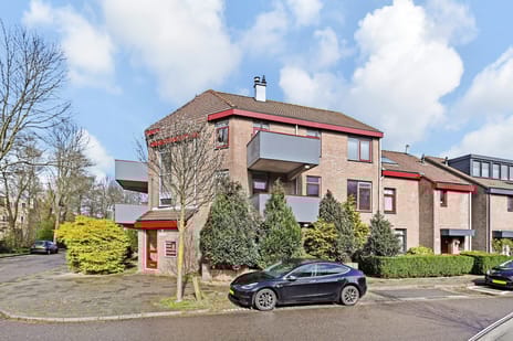 Q.A. Nederpelstraat thumbnail