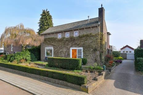 Bosboomstraat thumbnail