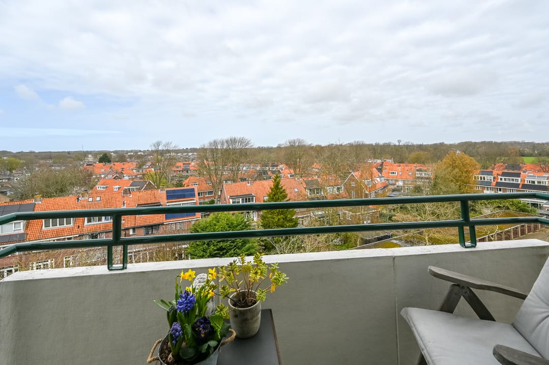 Photo 17 of Merwedeplantsoen 90
