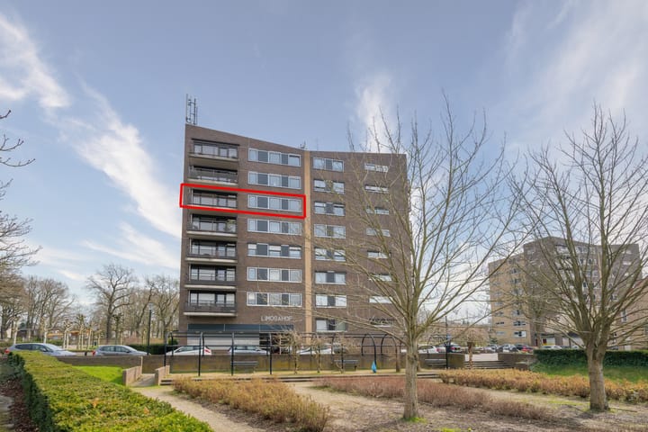 Gruttostraat 55