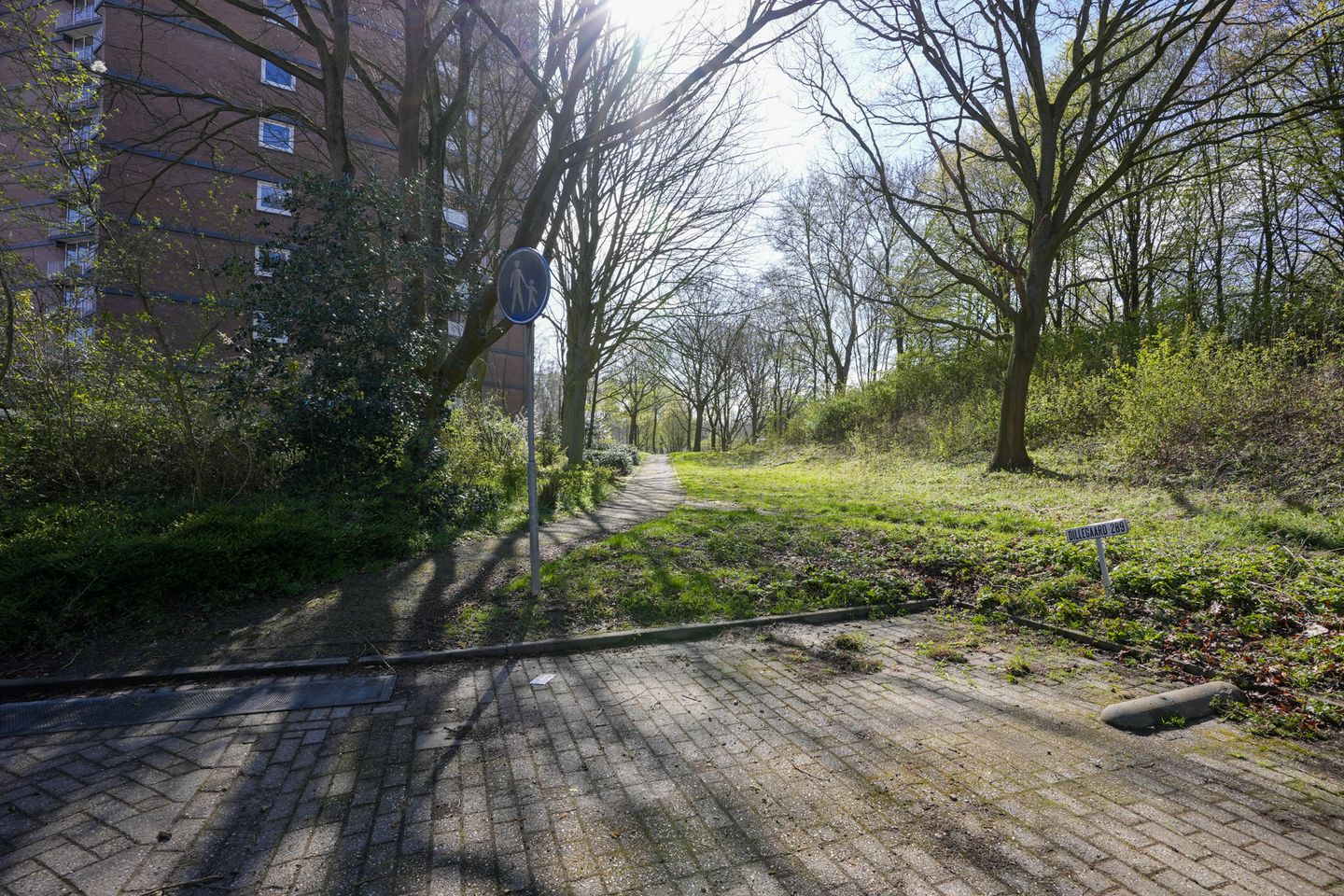 Foto 20 van Dillegaard 264