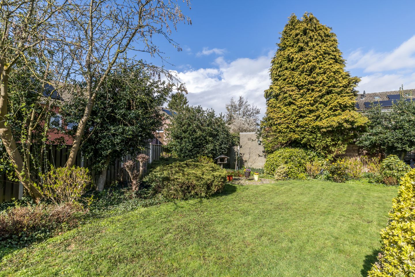 Photo 29 of Mozartstraat 1