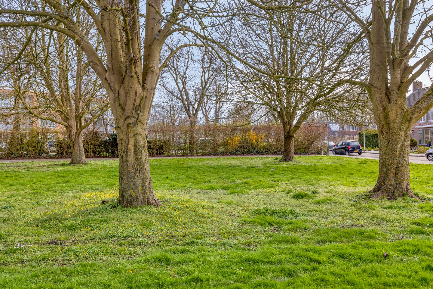 Foto 34 van Johan van Oldenbarneveldtlaan 48