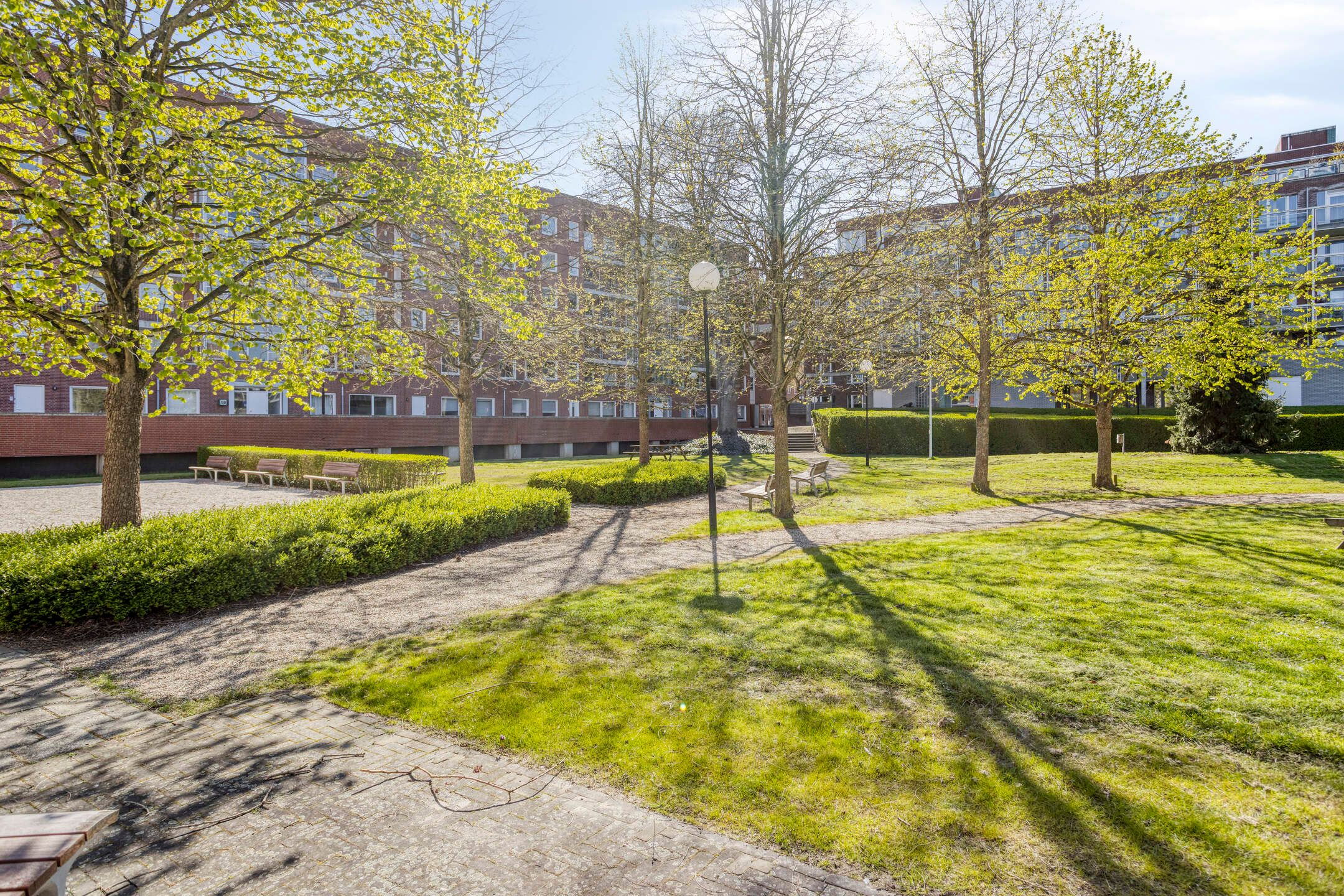 Foto 24 van Sphinxlunet 38-F