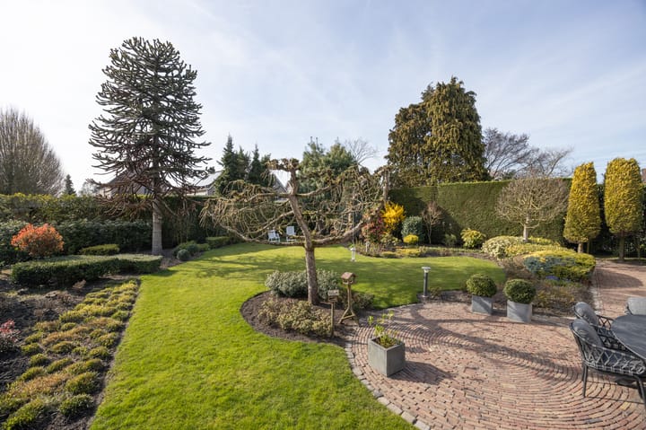 Foto 4 van Zwaluw 102