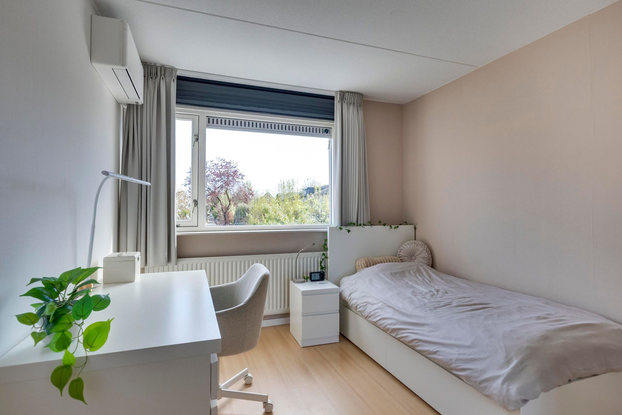 Photo 18 of Reiger 3