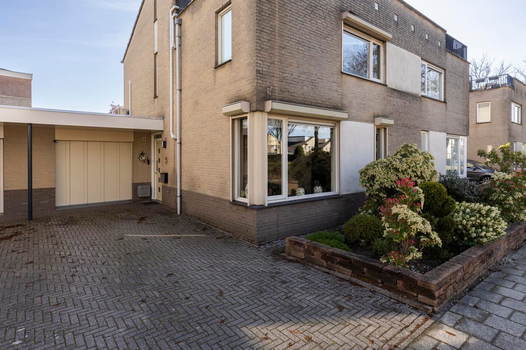 Photo 38 of Reiger 3