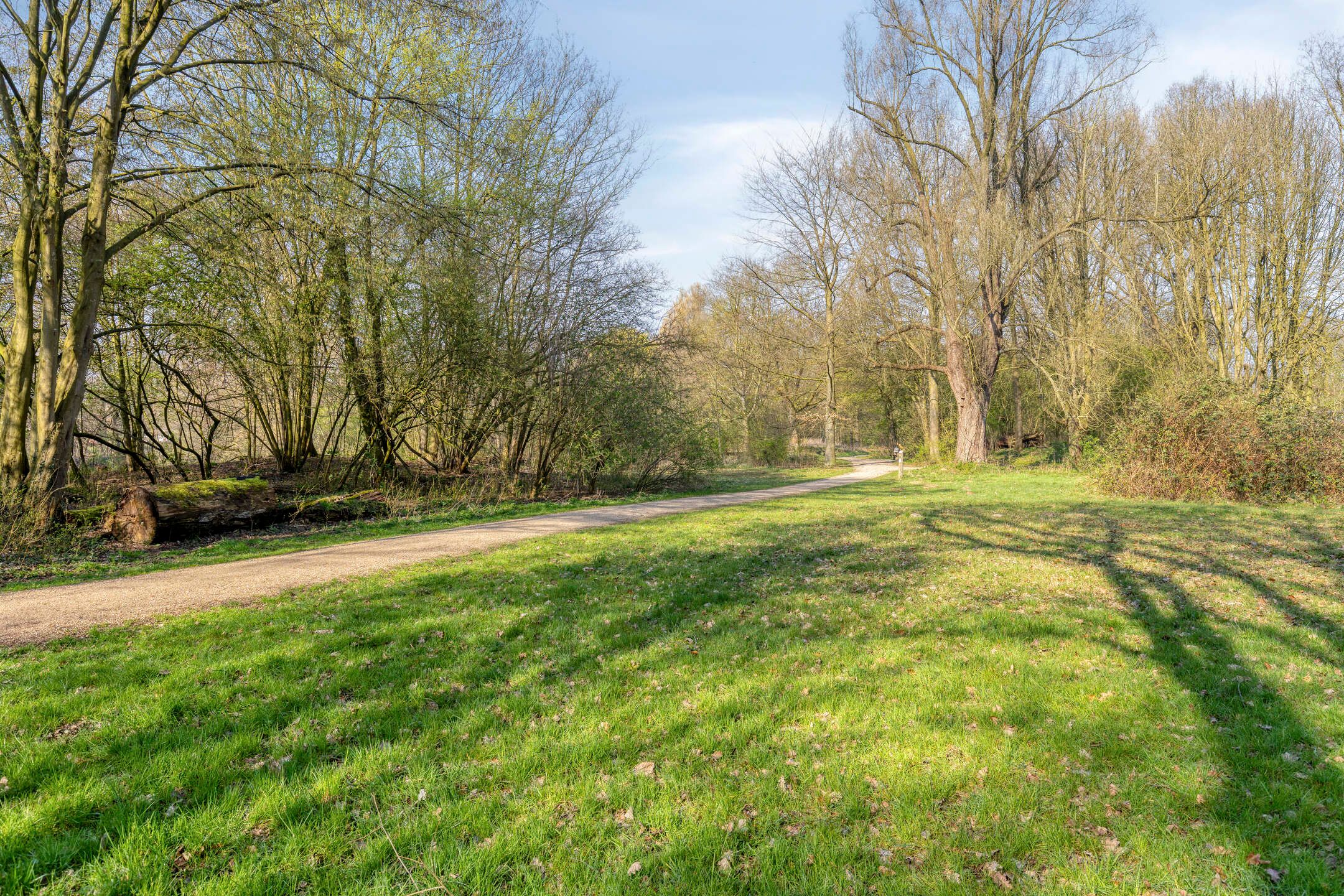 Foto 30 van Eduard Schilderinkstraat 14